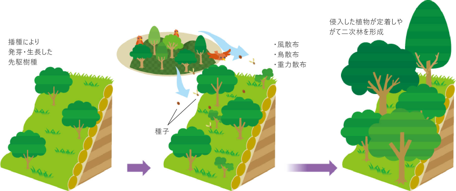 バイオ・オーガニック工法図