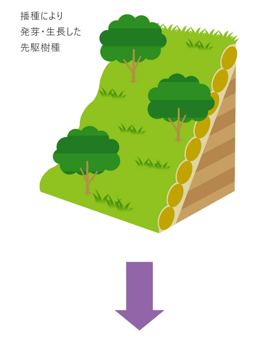 バイオ・オーガニック工法図その１