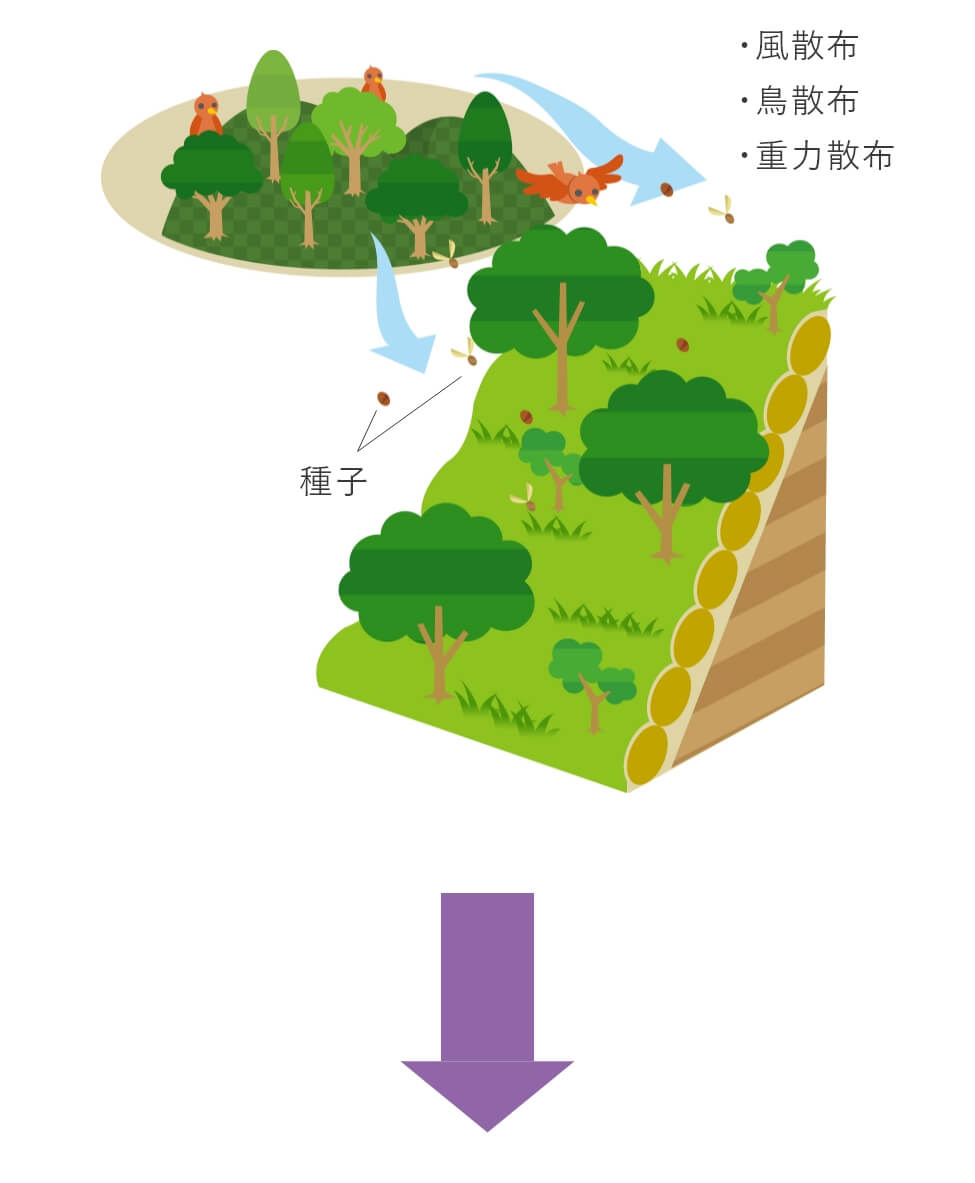 バイオ・オーガニック工法図その２